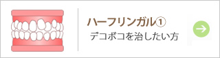 ハーフリンガル①