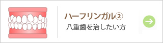 ハーフリンガル②