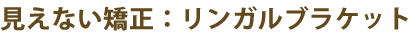 見えない矯正：リンガルブラケット